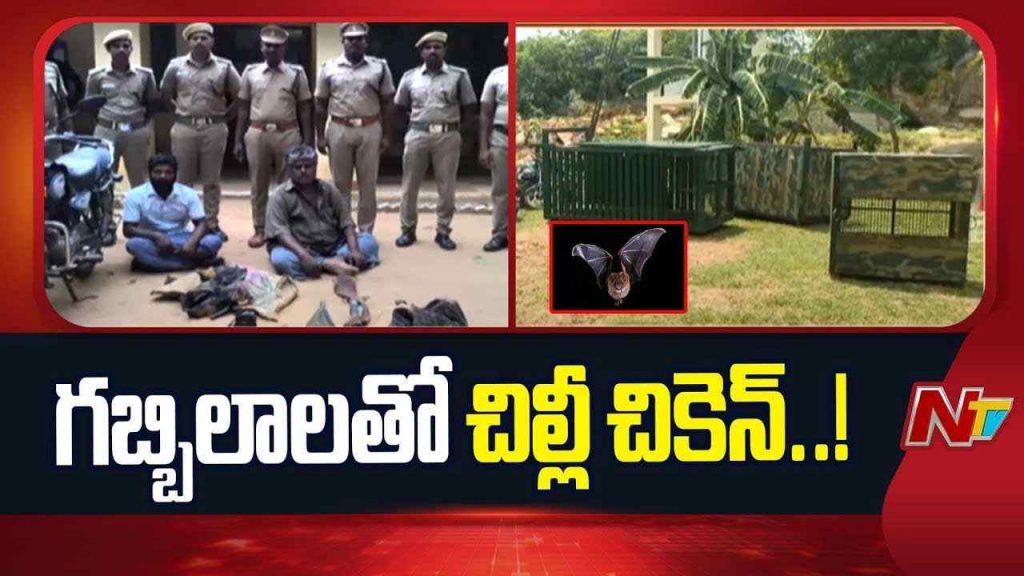 Bats Case Tamil Nadu