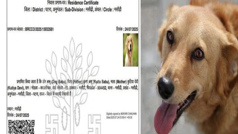 Bihar: ఇది కుక్క కాదు ‘డాగేష్ బాబు ’.. మరో శునకానికి రెసిడెన్స్ సర్టిఫికెట్‌ కోసం దరఖాస్తు..!