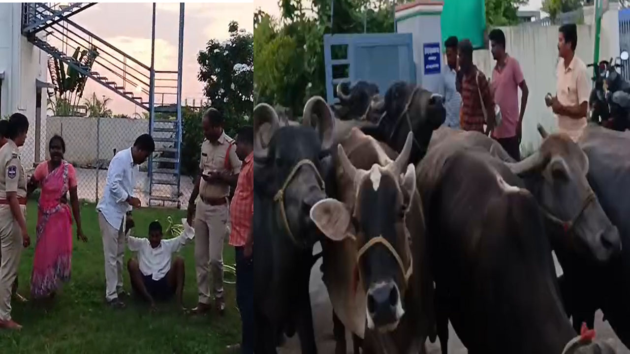 Jayashankar Bhupalpally: ఎమ్మెల్యే క్యాంపు ఆఫీస్‌లోకి బర్రెలను తోలిన పాడిరైతు.. ఎందుకంటే..?