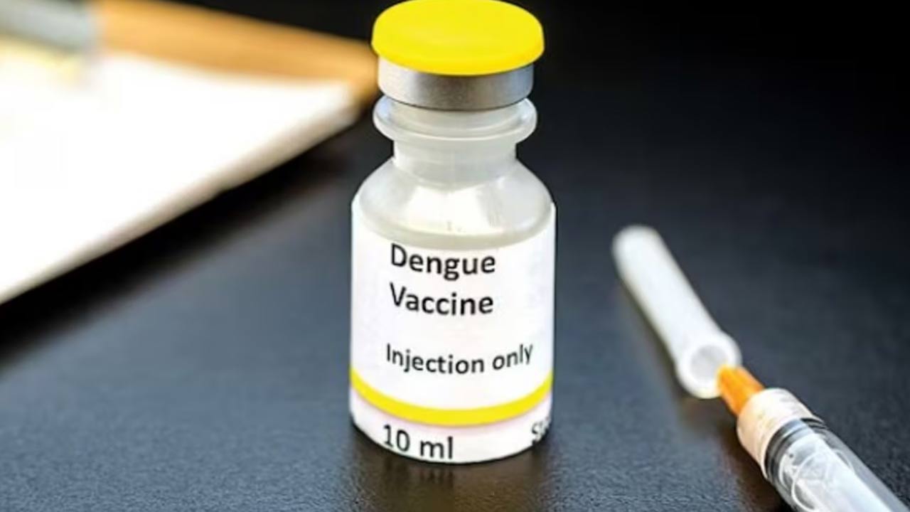 Dengue Vaccine : భారతదేశంలో తొలి స్వదేశీ డెంగ్యూ వ్యాక్సిన్..!
