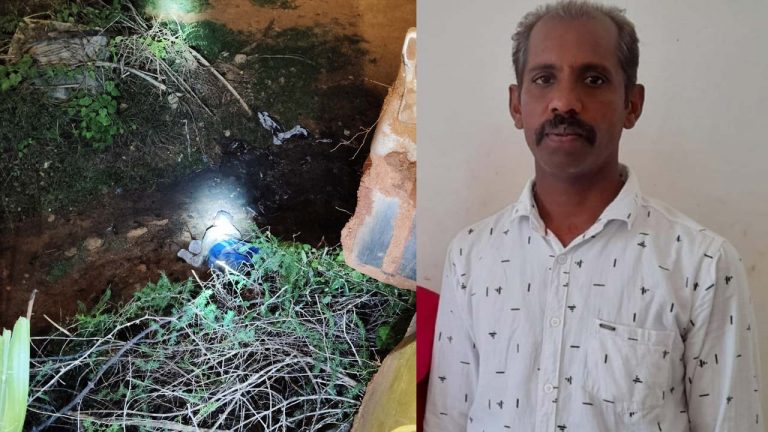 Elephants: పొలం పనులు చేస్తుండగా ఏనుగుల గుంపు దాడి.. రైతు మృతి