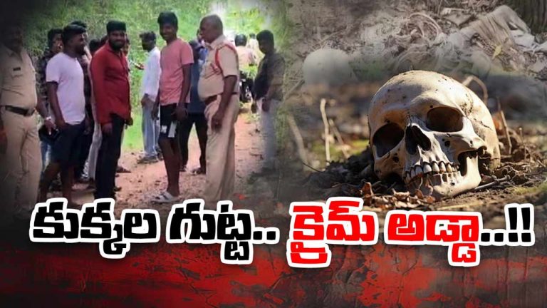 Skeleton : హత్యా? ఆత్మహత్యా? కుక్కలగుట్టలో మహిళ అస్థిపంజరం మిస్టరీ