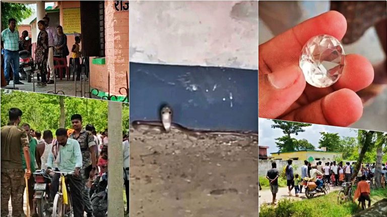 Bihar: స్కూల్‌లో “నాగమణి”ని వదిలి వెళ్ళిన తాచు పాము..? అలాంటి మణి నిజంగా ఉందా..?
