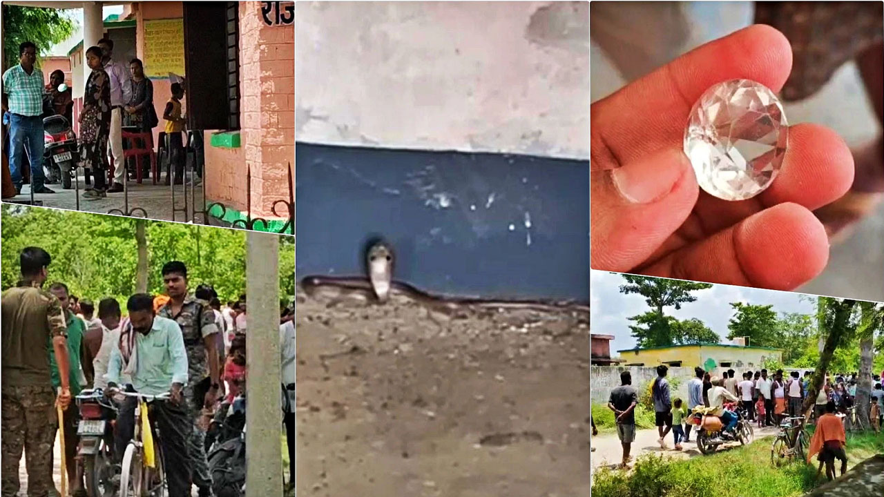 Bihar: స్కూల్‌లో “నాగమణి”ని వదిలి వెళ్ళిన తాచు పాము..? అలాంటి మణి నిజంగా ఉందా..?