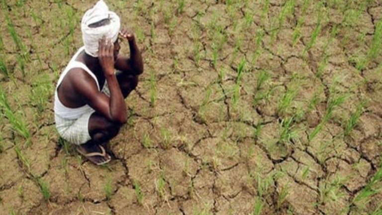 Rainfall Deficit: తెలుగు రాష్ట్రాలపై ‘కరువు’ మేఘం.. వచ్చే వారం చాలా కీలకం!