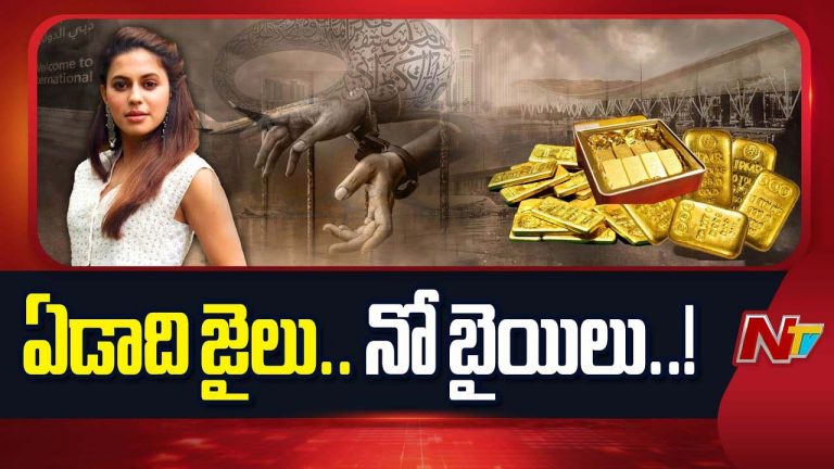 Ranya Rao: బంగారం అక్రమ రవాణా కేసు.. కన్నడ నటి రన్యా రావుకు ఏడాది జైలు శిక్ష