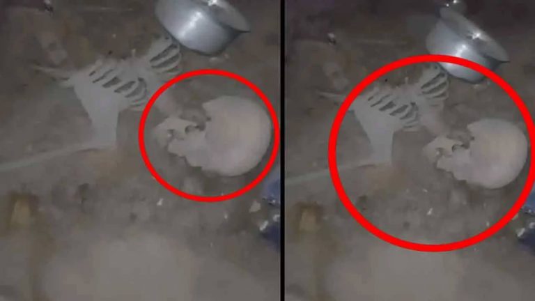 Shocking Incident : నాంపల్లిలో కలకలం.. పాడుబడ్డ ఇంట్లో వెలుగు చూసిన అస్థిపంజరం