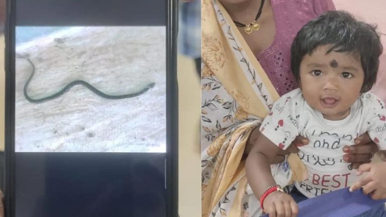 shocking incident: నాగరాజును నమిలేసిన తొమ్మిది నెలల చిన్నారి..