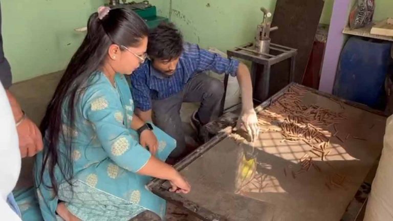 Nisha Jaiswal Success Story: ఆవు పేడతో లక్షలు.. నిషా జైస్వాల్ సక్సెస్ స్టోరీ..