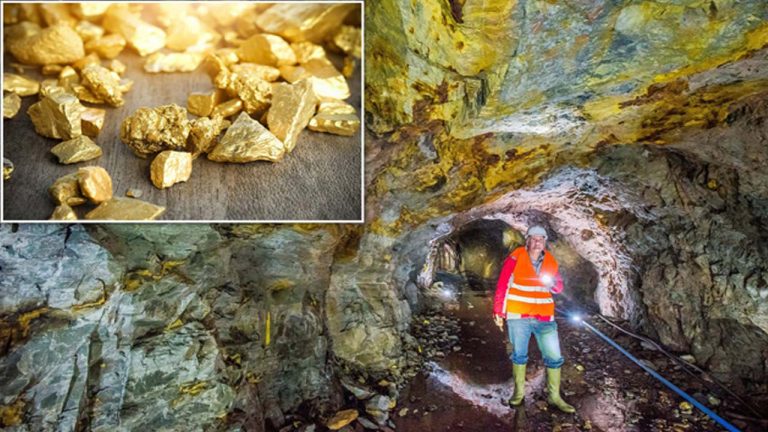 India Finds Estimated 20 Tonnes of Gold: భారత్‌లో బంగారు నిధి.. ఎన్ని టన్నులు అంటే?