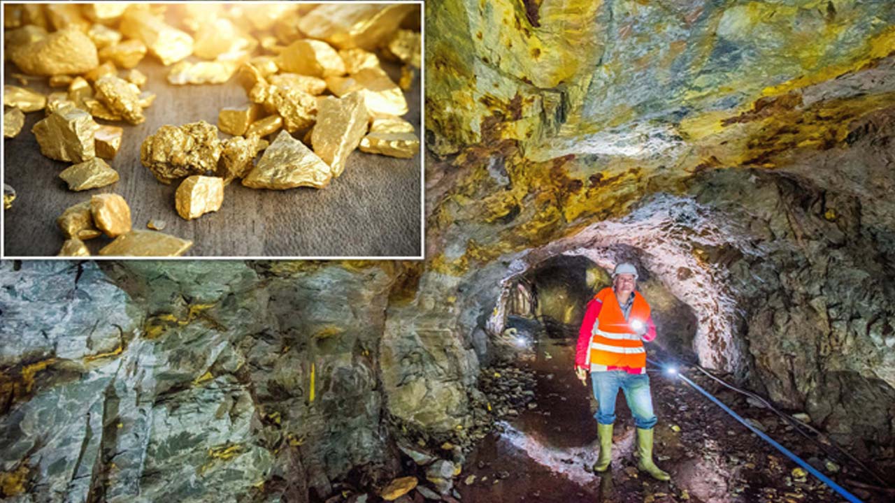 India Finds Estimated 20 Tonnes of Gold: భారత్‌లో బంగారు నిధి.. ఎన్ని టన్నులు అంటే?