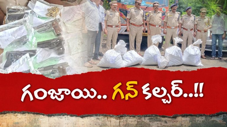pistols and ganja seized: పిస్టళ్లు, రివాల్వర్లతో పట్టుబడ్డ స్మగ్లర్లు..  రూ.53 లక్షల గంజాయి సీజ్