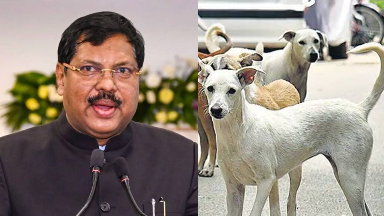 BR Gavai: వీధి కుక్కల తీర్పుపై సుప్రీంకోర్టు చీఫ్ జస్టిస్ గవాయ్ కీలక ప్రకటన