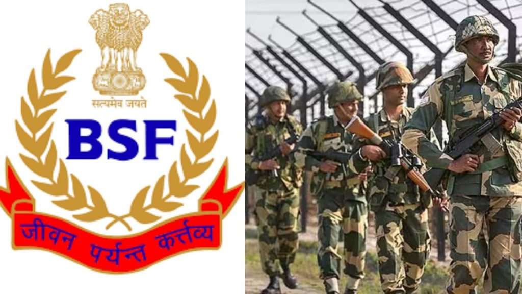 Bsf Jobs