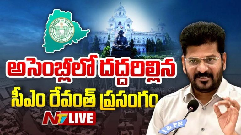 Telangana Assembly 2025: తెలంగాణ సమాజాన్ని తప్పుదోవ పట్టించాలని ప్రయత్నిస్తున్నారు: సీఎం రేవంత్ రెడ్డి