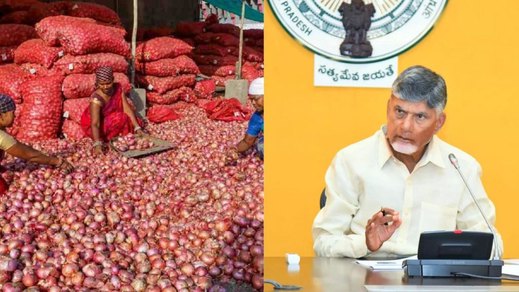 Cm Chandrababu Onion Farmers