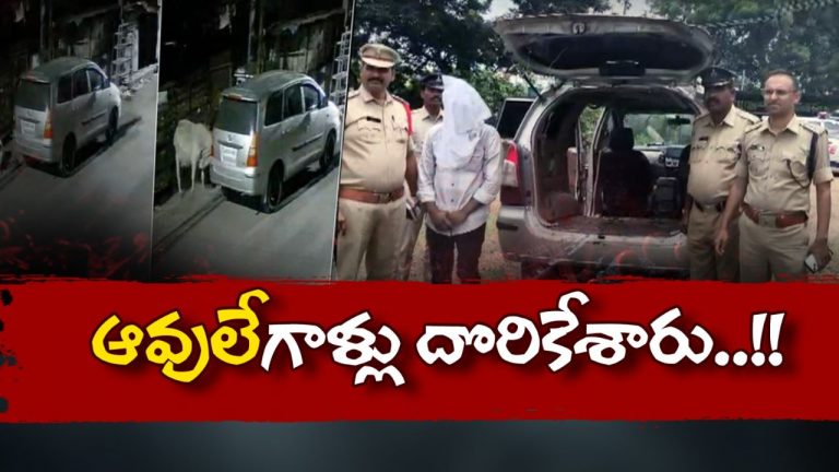 Cattle Smuggling: పశువుల అక్రమ రవాణా 40 మంది ముఠా ఆట కట్టించిన పోలీసులు!