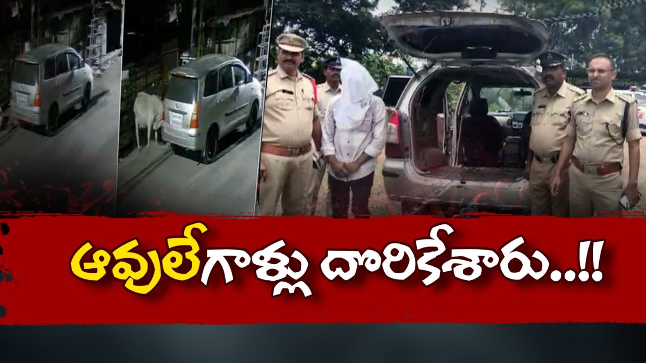 Cattle Smuggling: పశువుల అక్రమ రవాణా 40 మంది ముఠా ఆట కట్టించిన పోలీసులు!