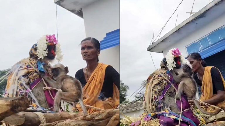 Heart Break Incident : ఇది చూస్తే మీకు కూడా కళ్లెంట నీళ్లు వస్తాయి..!