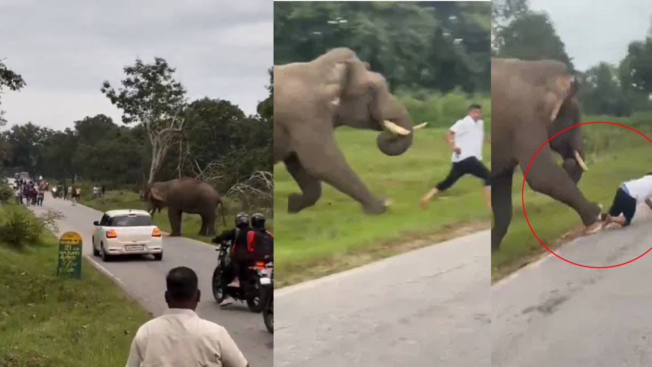 Karnataka: ఓ టూరిస్ట్ ఓవరాక్షన్.. సెల్ఫీ తీసుకుంటుండగా ఏనుగు దాడి