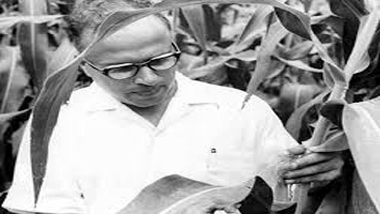 MS Swaminathan Jayanti: ప్రజల ఆకలి తీర్చిన విజ్ఞాని.. ఎంఎస్ స్వామినాథన్ జయంతి స్పెషల్