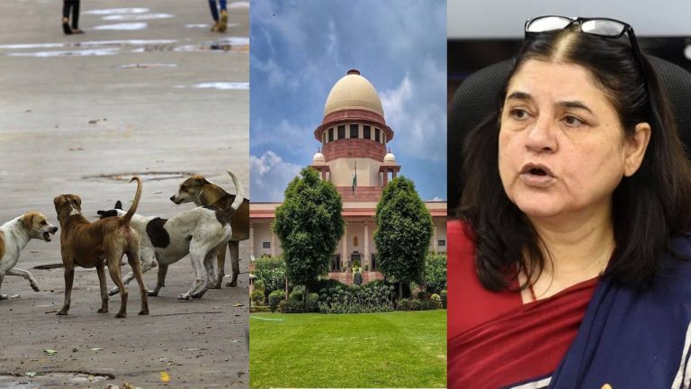 Maneka Gandhi: వీధి కుక్కలను షెల్టర్లకు పంపడమేంటి? సుప్రీంకోర్టు తీర్పును తప్పపట్టిన మేనకాగాంధీ