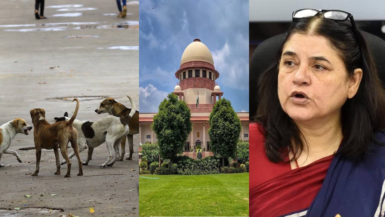 Maneka Gandhi: వీధి కుక్కలను షెల్టర్లకు పంపడమేంటి? సుప్రీంకోర్టు తీర్పును తప్పపట్టిన మేనకాగాంధీ