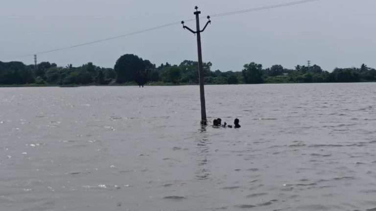 Viral Video: జోరు వానలో చెరువు మధ్యలోకి వెళ్లి విద్యుత్ పునరుద్ధరణ.. హాట్సాఫ్ లైన్‌మ్యాన్! వీడియో వైరల్