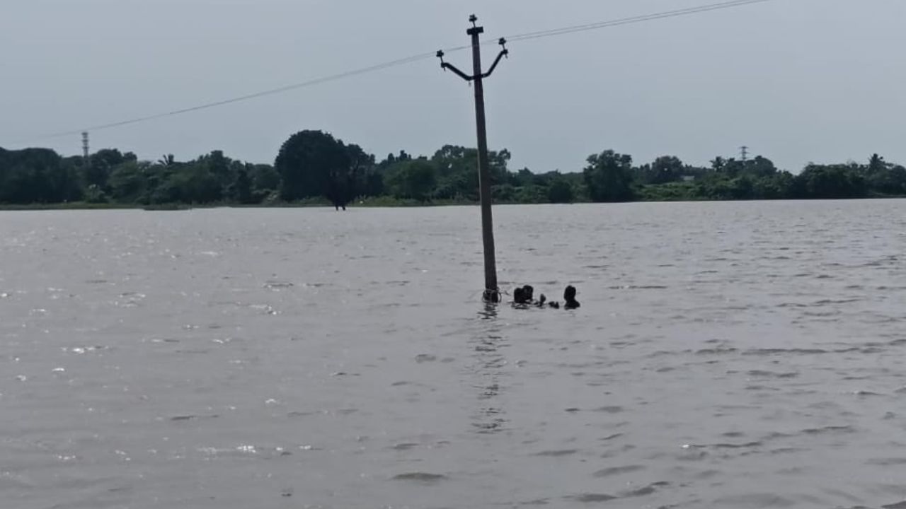 Viral Video: జోరు వానలో చెరువు మధ్యలోకి వెళ్లి విద్యుత్ పునరుద్ధరణ.. హాట్సాఫ్ లైన్‌మ్యాన్! వీడియో వైరల్