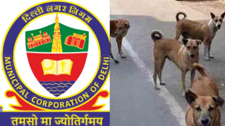 Delhi: వీధి కుక్కల నుండి ప్రజలకు ఉపశమనం కల్పించేందుకు చర్యలు చేపట్టిన ఎంసీడీ