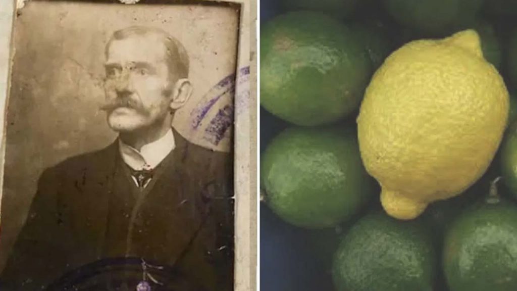 Spy Caught With Lemon