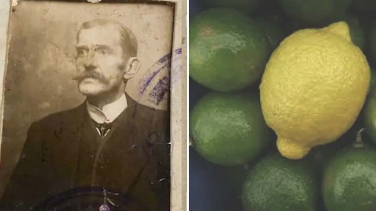 Spy Caught With Lemon: గూఢచారిని పట్టించిన నిమ్మకాయ.. మరణశిక్షతో ముగిసిన జీవితం