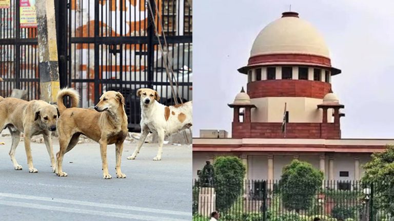 Supreme Court: జంతు ప్రేమికులకు ఊరట.. వీధి కుక్కల తీర్పుపై కీలక పరిణామం