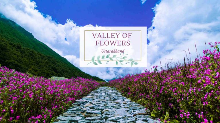 Best Tour Place : ప్రకృతి గీసిన చిత్రం.. పువ్వుల లోయ ఎక్కడ ఉంది, ఎలా చేరుకోవాలి..?