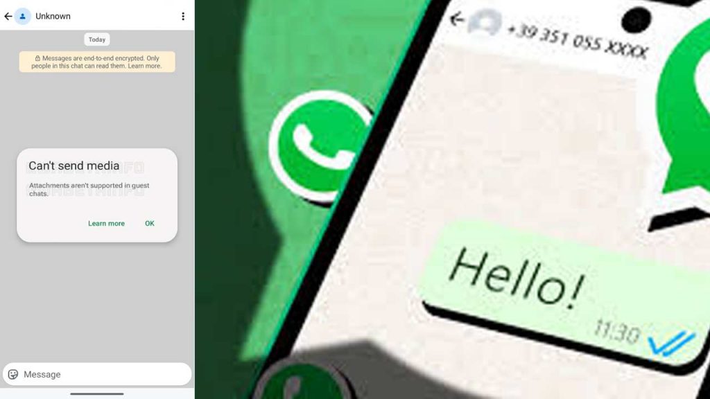 Whatsapp Guest Chat