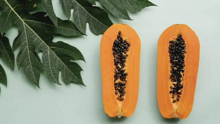 Papaya Side Effects: ఈ 5 సమస్యలున్నవారు బొప్పాయి తినకూడదు