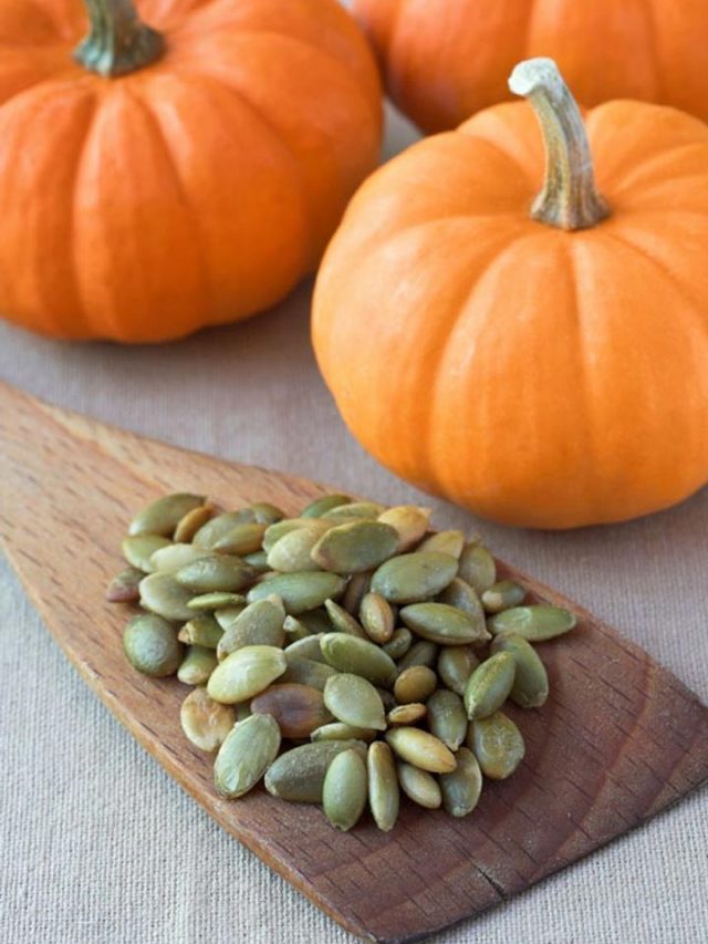 గుమ్మడి గింజలు తింటే ఇన్ని ప్రయోజనాలు ఉన్నాయా...