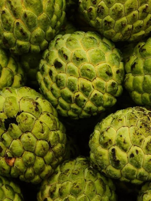 సీతాఫలంతో ఈ సమస్యలకు చెక్ పెట్టండి...