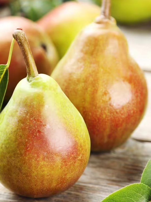 పియర్స్  పండులో  ఉండే ఆరోగ్య  లాభాలు  అన్ని ఇన్ని కావు...