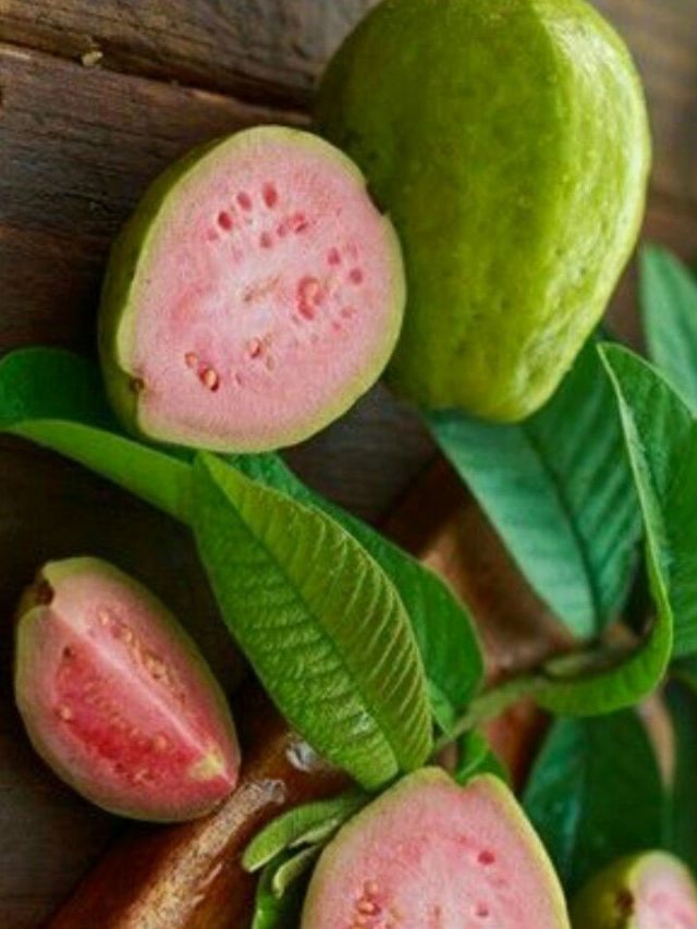 జామ పండుతో వచ్చే అద్భుత ప్రయోజనాలు..ఆరోగ్య రహస్యాలు..