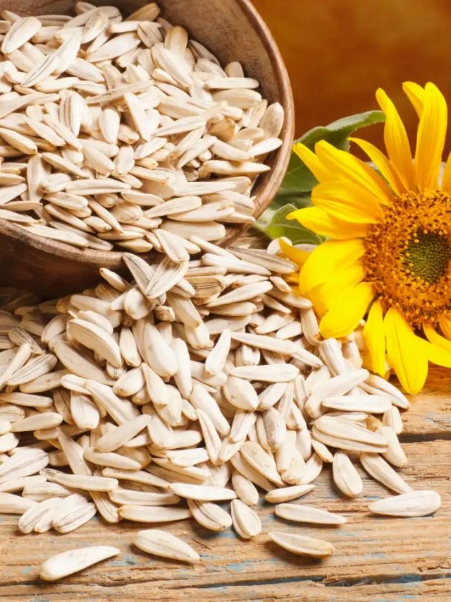 సూర్యకాంతి గింజలు తినడం వల్ల కలిగే ముఖ్యమైన ఆరోగ్య ప్రయోజనాలు ఇవే..