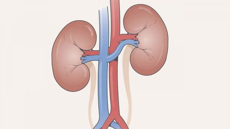kidney problems : కిడ్నీలు ఒత్తిడికి గురైనప్పుడు కనిపించే 7 ముఖ్యమైన సంకేతాలు..