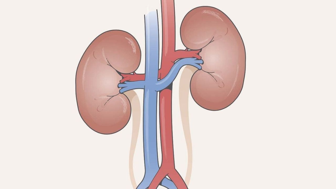kidney problems : కిడ్నీలు ఒత్తిడికి గురైనప్పుడు కనిపించే 7 ముఖ్యమైన సంకేతాలు..