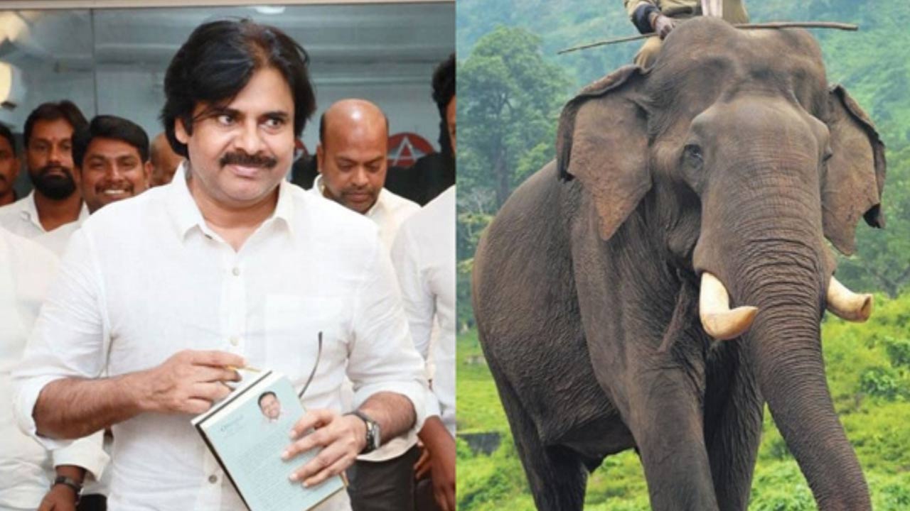 Pawan Kalyan: కుంకీ ఏనుగుల తొలి ఆపరేషన్ సక్సెస్.. సరిహద్దు ప్రాంత రైతులకి భరోసా