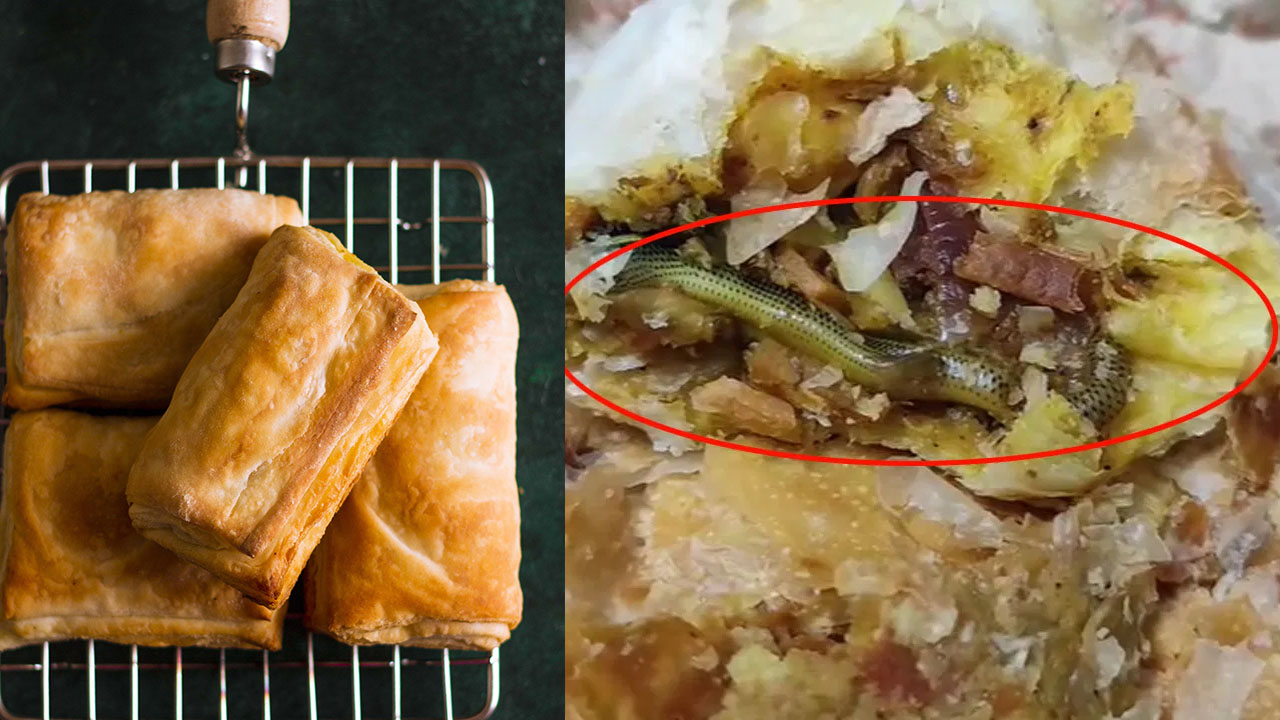 Snake Found in Curry Puff:  కర్రీ పఫ్‌లో పాము పిల్ల ప్రత్యక్షం.. షాక్‌లో కుటుంబీకులు..