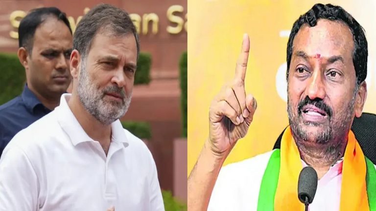 Raghunandan Rao: రాహుల్ గాంధీ నియోజకవర్గంలో 71 వేల 977 దొంగ ఓట్లు..!