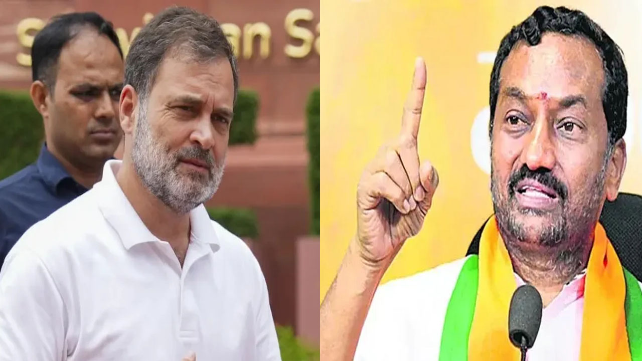 Raghunandan Rao: రాహుల్ గాంధీ నియోజకవర్గంలో 71 వేల 977 దొంగ ఓట్లు..!