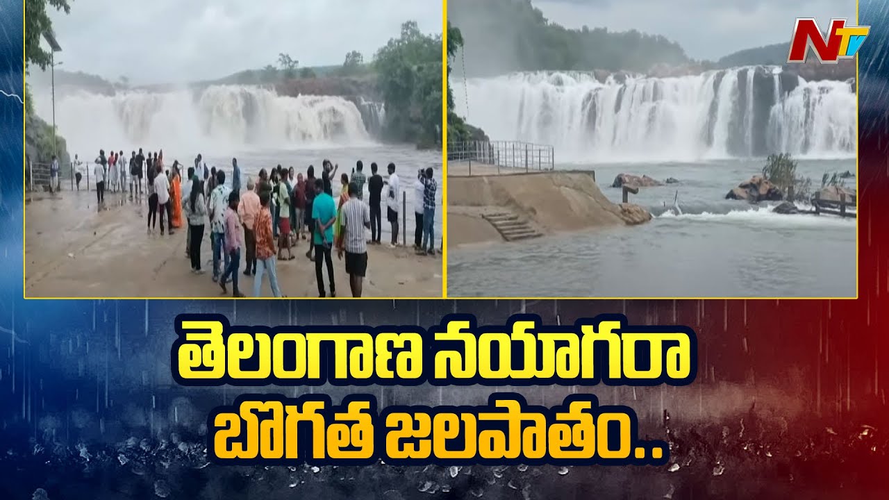 Mulugu: ములుగు జిల్లాలో పొంగిపొర్లుతున్న వాగులు, వంకలు