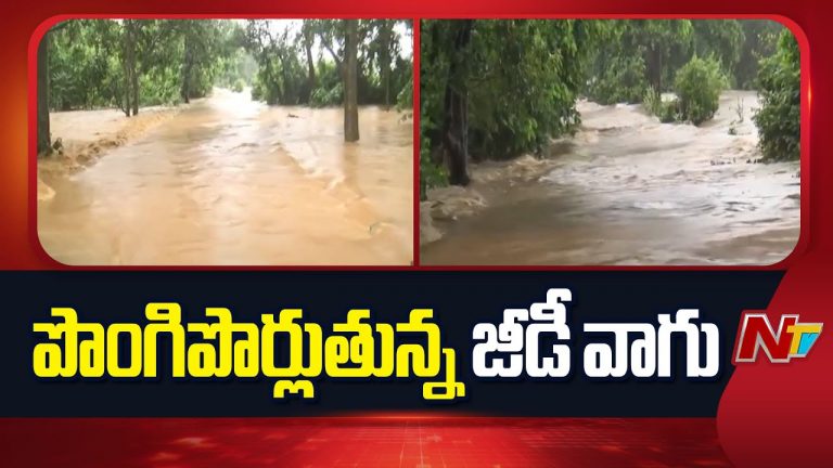 Mulugu District: రహదారి పై నుంచి పొంగిపొర్లుతున్న జీడివాగు