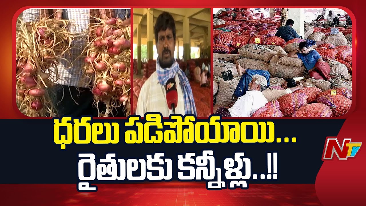 Kurnool : ఉల్లిపంట రైతులకు మళ్లీ నిరాశే మిగిలింది.